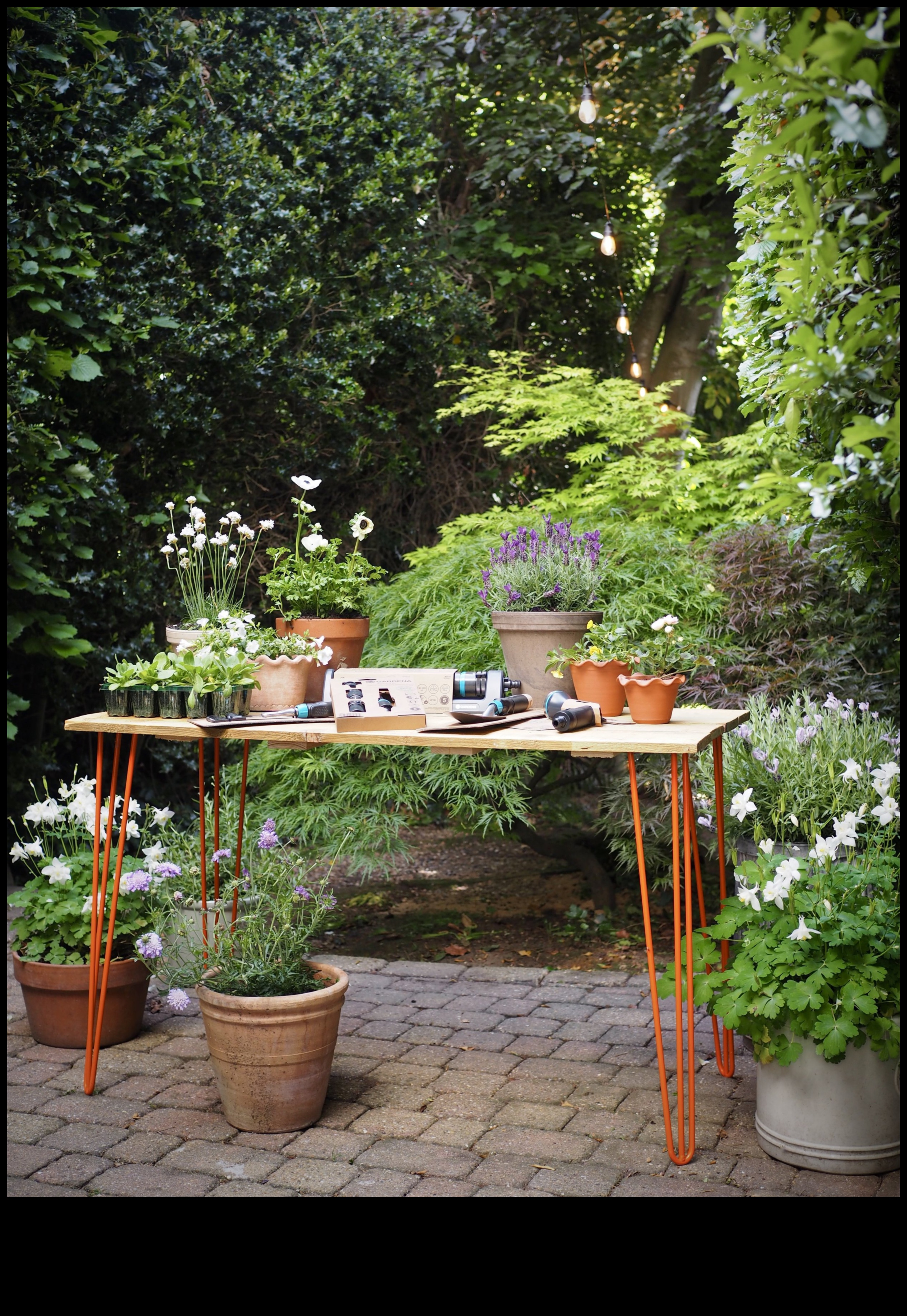 Rustic șic: ridicați-vă spațiul cu mobilier de grădină elegant