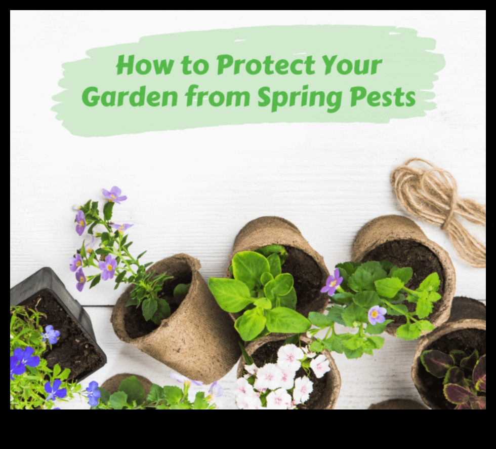 Strategii împotriva dăunătorilor: Protejează-ți grădina înflorită
