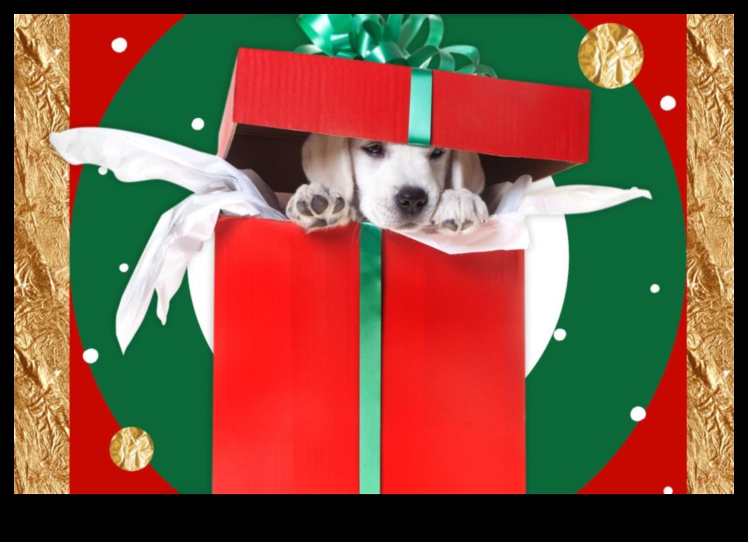 Beneficii pentru animale de companie: cadouri pentru prietenii cu blană și însoțitorii lor