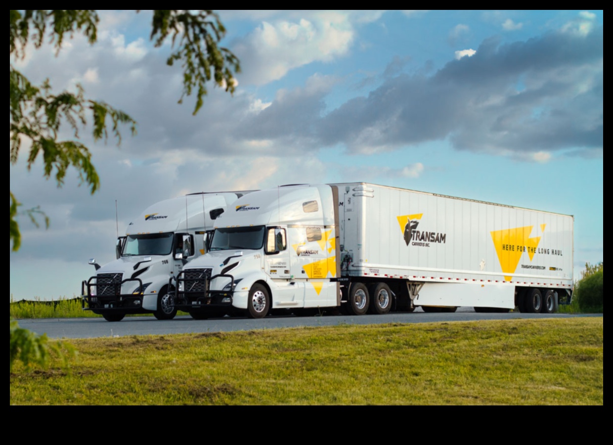 Marfă personalizată: camioane personalizate pentru stil și funcționalitate