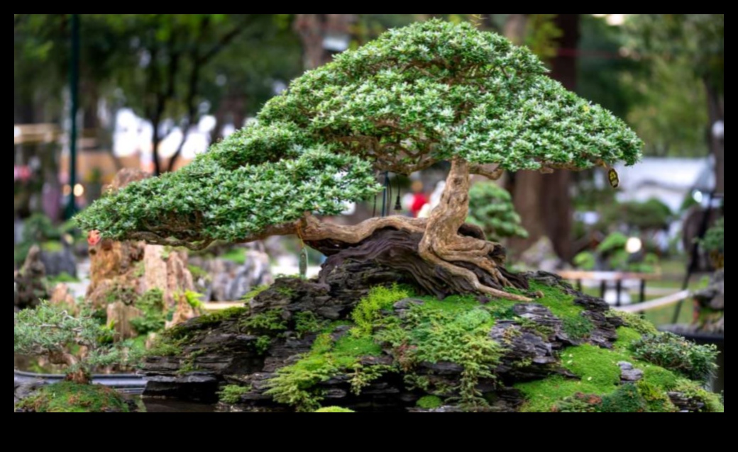 Bonsai Bliss: Lumi în miniatură în grădinile japoneze