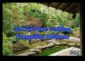Armonia în piatră Sculpturile din grădină japoneză care evocă liniște