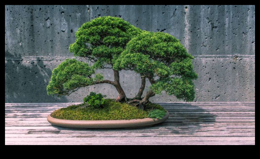 Bonsai Bliss: Lumi în miniatură în grădinile japoneze